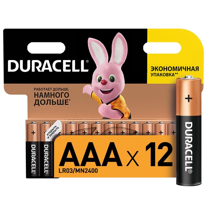 Батарейка DURACELL BASIC ААA/LR03-12BL 349351 - фото 1040529