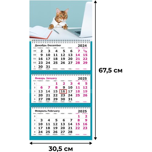 Календарь настенный 3-х блочный 2025,Трио Стандарт,305х675,80г/м2Рыж. Джент 2062065 - фото 1086766