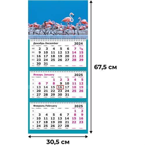 Календарь настенный 3-х блочный 2025,305х675,Розовый фламинго,3 спир,80г/м2 2062071 - фото 1086769