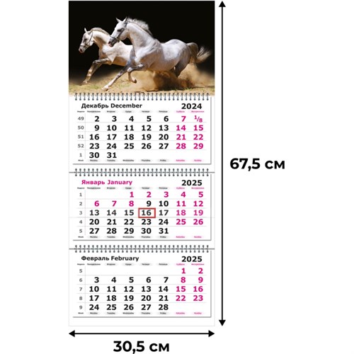 Календарь настенный 3-х блочный 2025, Лошади,305х675, 80г/м2 2062070 - фото 1086781