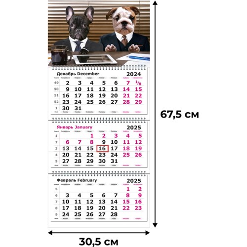 Календарь настенный 3-х блочный 2025,Трио Стандарт,305х675,80г/м2.Псы 2062064 - фото 1086787