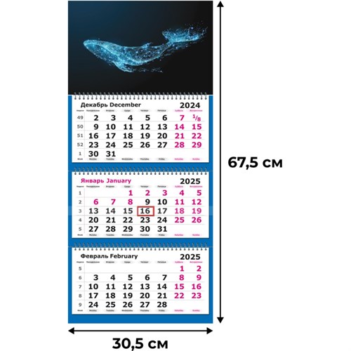 Календарь настенный 3-х блочный 2025,305х675,Звездный  Кит,3 спир,80г/м2 2062068 - фото 1086799