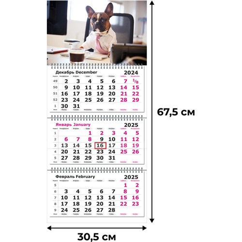 Календарь настенный 3-х блочный 2025,305х675,Деловой Бульдог,3 спир,80г/м2 2062066 - фото 1086802