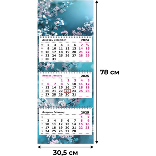 Календарь настенный 3-х блочный 2025,Ветка в цвету,305х780, 80г/м2 2062081 - фото 1086862