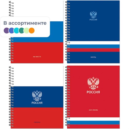 Тетрадь общая Россия А5 96л клетка спираль обл. картон, ассорти 21с18-96 2074139 - фото 1086949