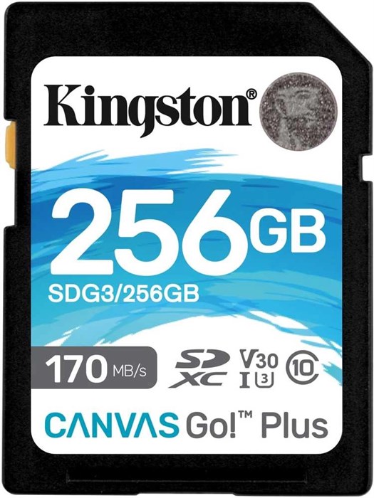 Флеш карта SDXC 256GB Kingston  SDG3/256GB XM1401299 - фото 335584