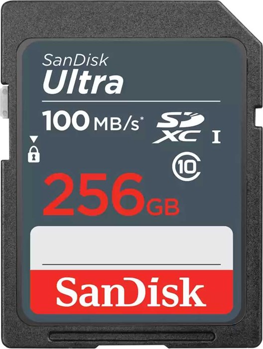 Флеш карта SDXC 256GB Sandisk  SDSDUNR-256G-GN3IN XM1512722 - фото 335955