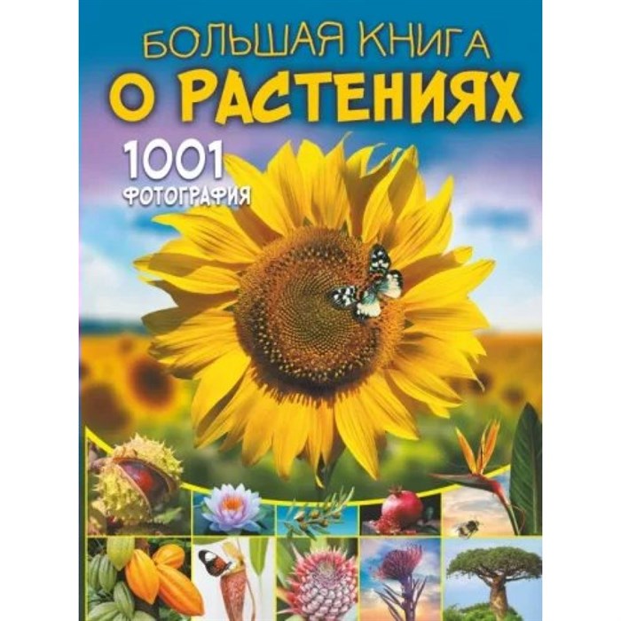 Большая книга о растениях. 1001 фотография. Медведев Д.Ю. XKN1835877 - фото 530093