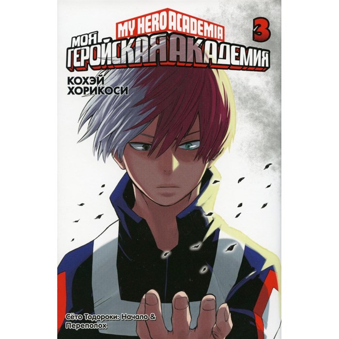 Моя геройская академия. Книга 3. К. Хорикоси XKN1627636 - фото 531922