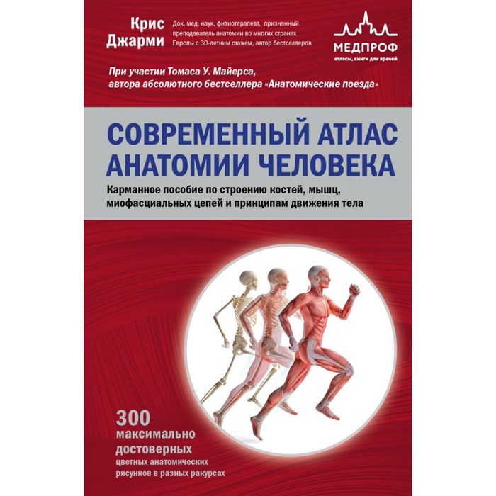 Современный атлас анатомии человека. Карманное пособие по строению костей, мышц, миофасциальных цепей и принципам движения тела. К. Джарми XKN1833651 - фото 532468