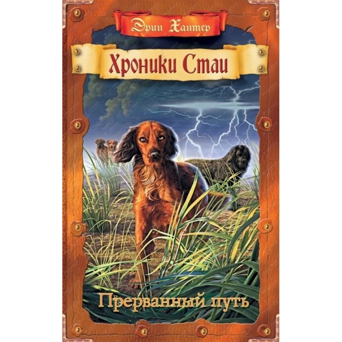 Хроники Стаи. Прерванный путь. Э.Хантер XKN1241907 - фото 540698