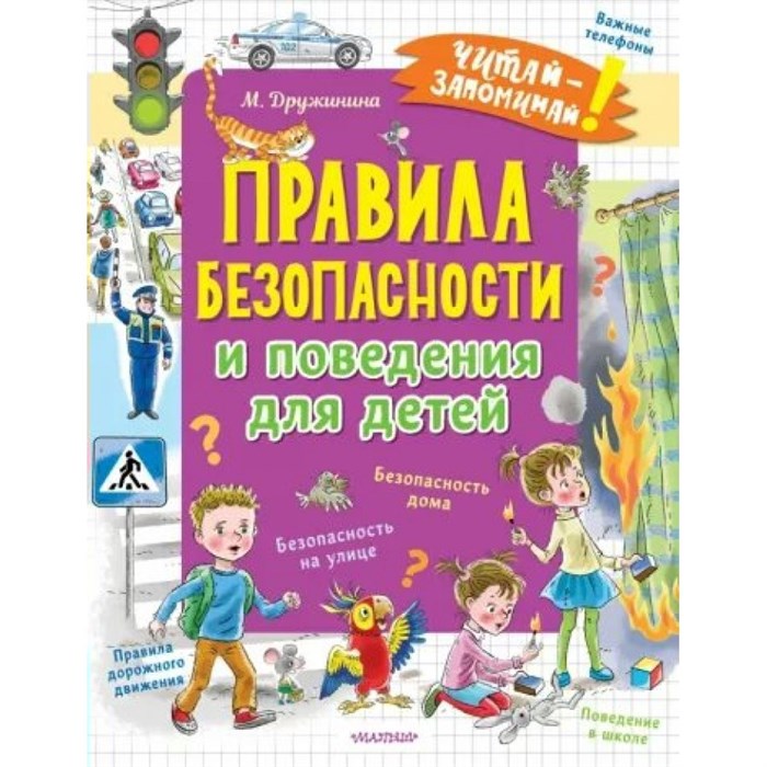 Правила безопасности и поведения для детей. Дружинина М.В. XKN1787883 - фото 545742