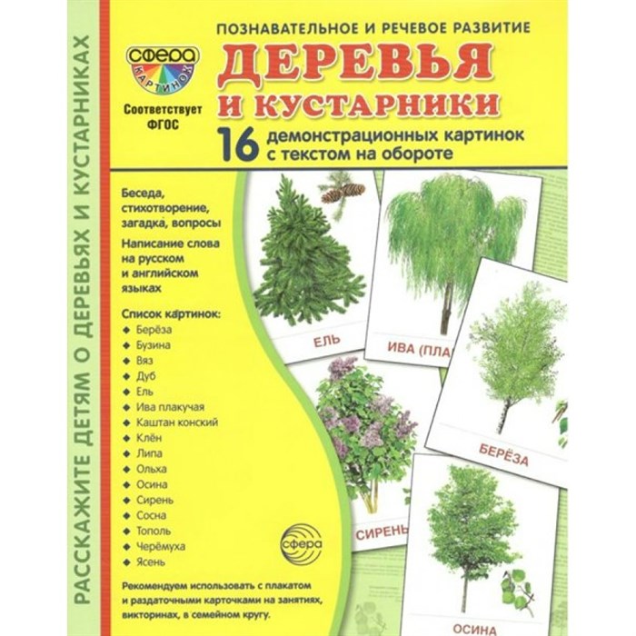 Деревья и кустарники. 16 демонстрационных картинок с текстом на обороте. 174 х 220. XKN1102891 - фото 548211