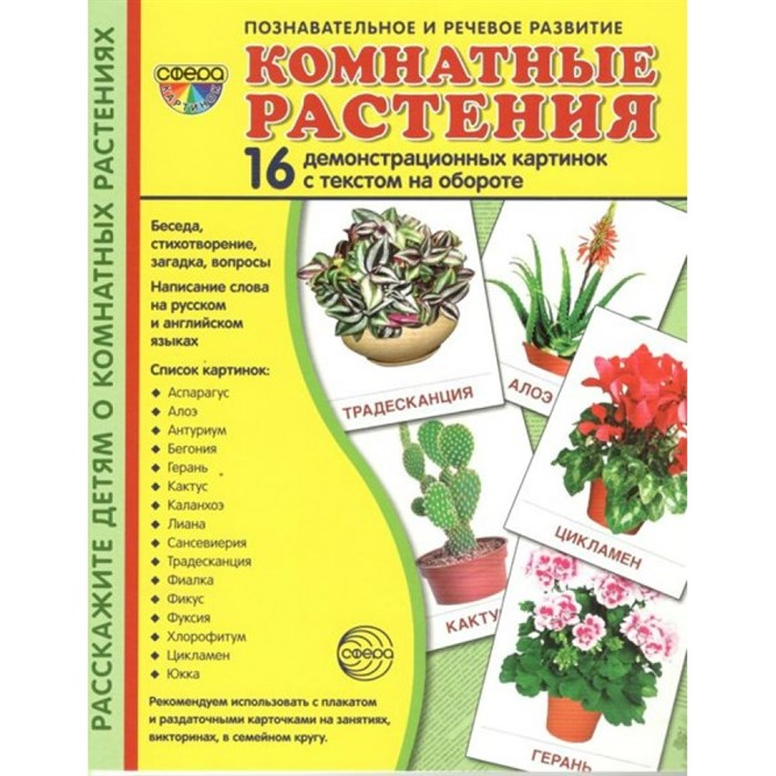 Комнатные растения. 16 демонстрационных картинок с текстом на обороте. 174 х 220. XKN1139116 - фото 548219