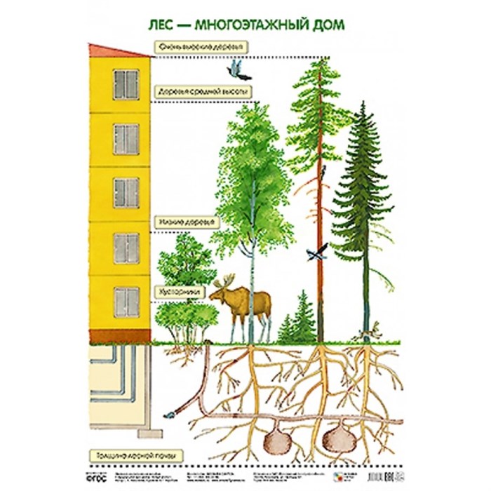 Лес-многоэтажный дом. А2. Николаева С.Н. XKN1176206 - фото 553229