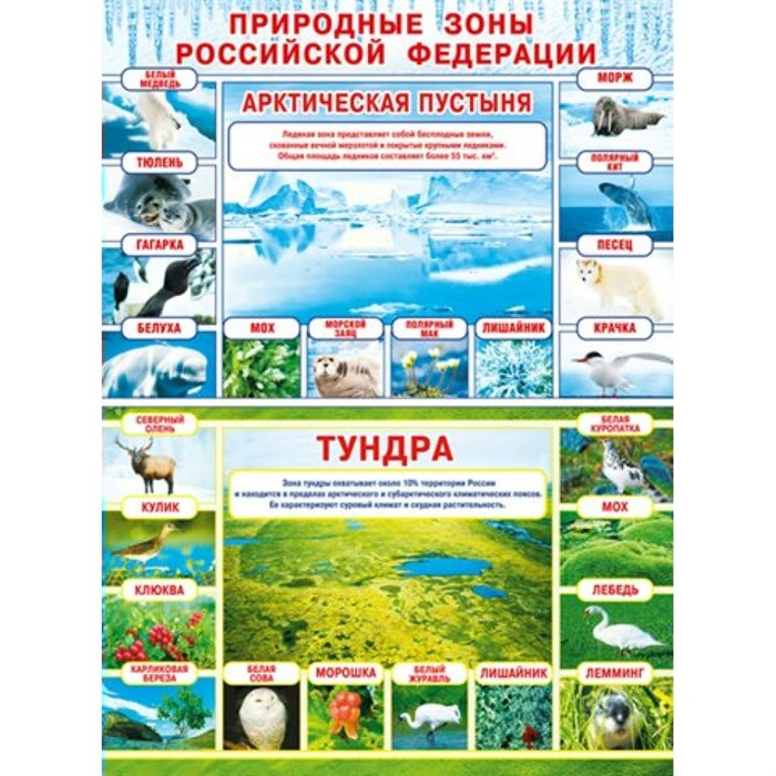 Природные зоны Российской Федерации. Арктическая пустыня. Тундра. 071.390. XKN1813788 - фото 553464