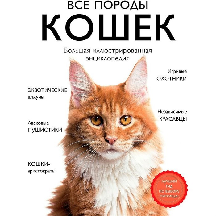 Все породы кошек. Большая иллюстрированная энциклопедия. Романова Л.В. XKN1781893 - фото 554894