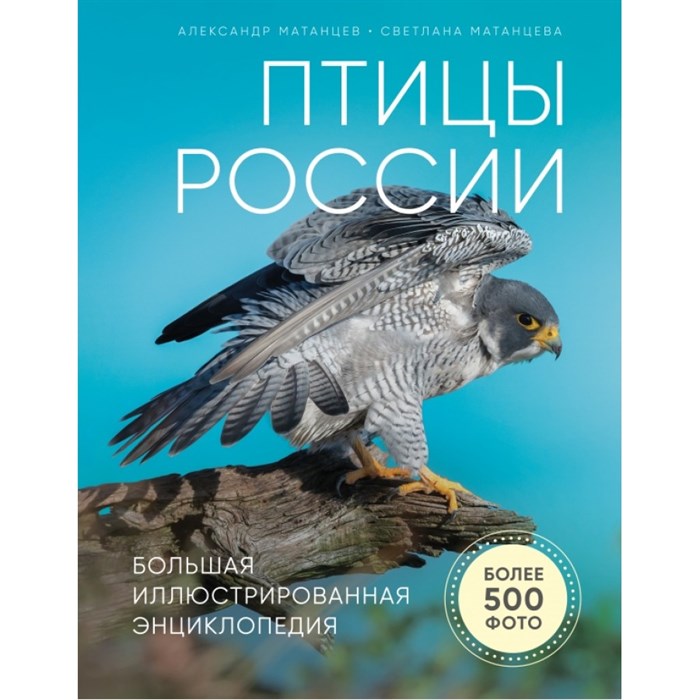 Птицы России. Большая иллюстрированная энциклопедия. Матанцев А.Н. XKN1602380 - фото 555281