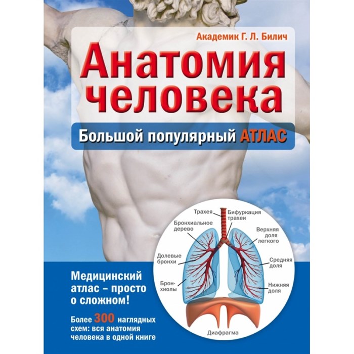 Анатомия человека. Большой популярный атлас. Билич Г.Л. XKN1156375 - фото 555543