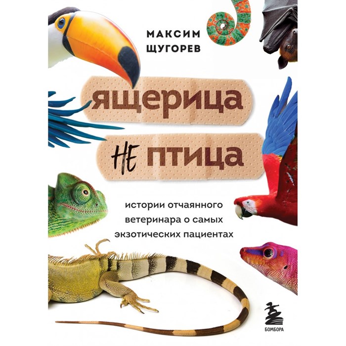 Ящерица не птица. Истории отчаянного ветеринара о самых экзотических пациентах. Щугорев М.А. XKN1749834 - фото 556535