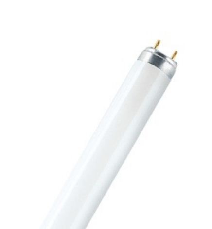 Лампа люм. L 58W/640 d=26mm G13 L=1500mm 4000К холодный (Смоленск) 4008321959843 Osram Osram XRS4008321959843 - фото 571066