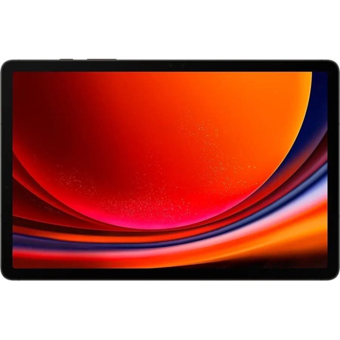 Планшет Samsung Galaxy Tab S9 SM-X716B 8C/8/128 11Графит(SM-X716BZAACAU) - фото 722511