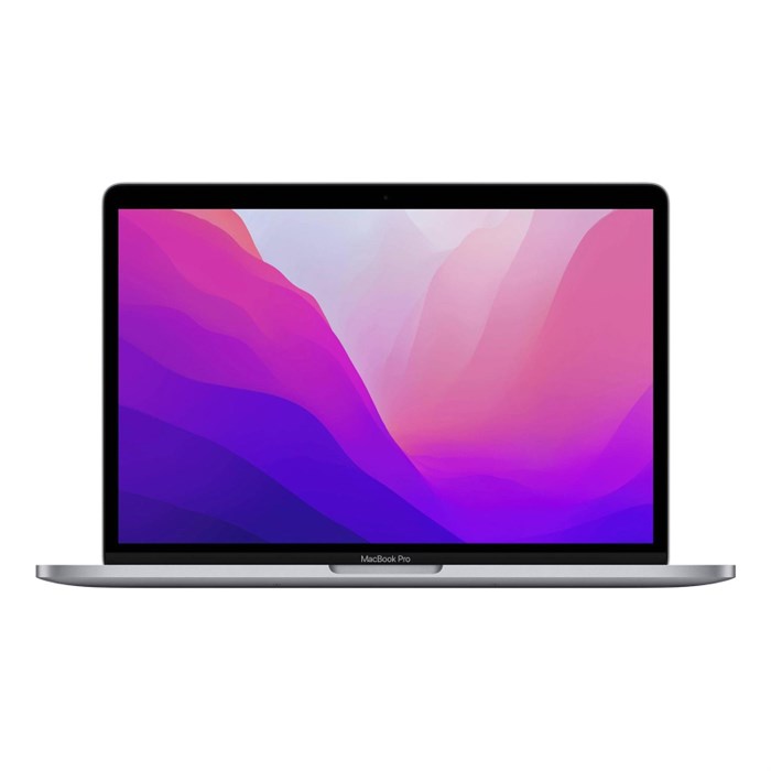 Ноутбук Apple MacBook Pro(MNEH3_RUSG)M2/8Gb/256Gb SSD/13/Space Grey - фото 723008