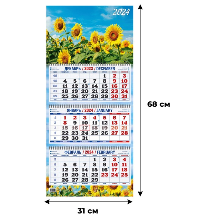 Календарь настенный 3-х блочный 2024,Подсолнухи,3 спир,офс,310х680,КБ09-24 1781867 - фото 737407