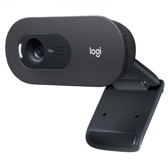 Веб-камера Logitech C505 HD Webcam (960-001364) 1311630 - фото 758924