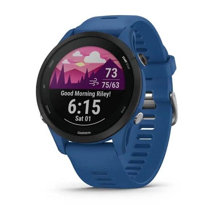 Смарт-часы Garmin Forerunner 255 Tidal Blue 010-02641-11 1820086 - фото 764724