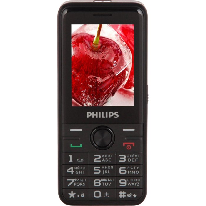 Мобильный телефон Philips Xenium Е6500(4G) черный 3G 4G 2Sim 2.4 TFT - фото 819557