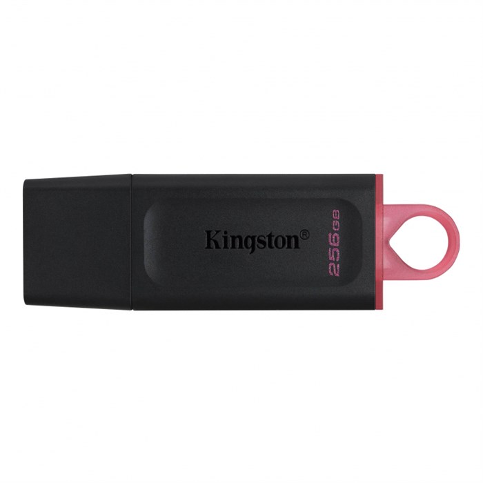 Флеш-память Kingston DataTraveler Exodia, USB 3.2 G1, роз/чер, DTX/256GB 1272365 - фото 841999