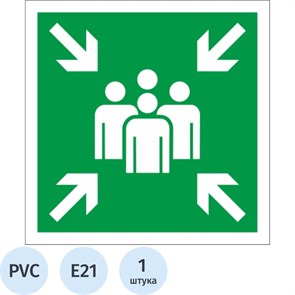 Знак безопасности Е21 Пункт (место) сбора, 200x200 мм, пластик 1268247