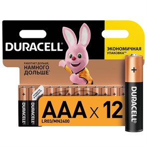 {{productViewItem.photos[photoViewList.activeNavIndex].Alt || productViewItem.photos[photoViewList.activeNavIndex].Description || 'Батарейка DURACELL BASIC ААA/LR03-12BL'}}