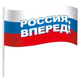 Флаг Россия вперед! 16х24 см с флагштоком 1581571