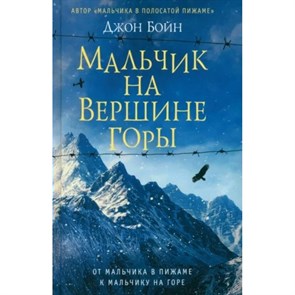 Мальчик на вершине горы. Д. Бойн XKN1197710