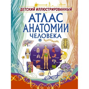 Детский иллюстрированный атлас анатомии человека. Спектор А.А. XKN1486306