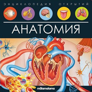 Анатомия. Энциклопедия открытий. XKN1834345