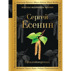 Стихотворения. Есенин С.А. XKN1354816