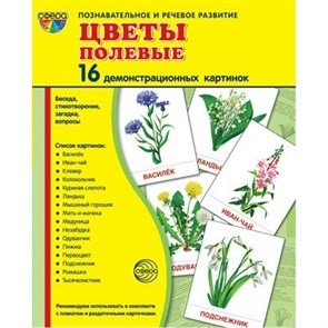 Цветы полевые. 16 демонстрационных картинок с текстом на обороте. 174 х 220. XKN1124653