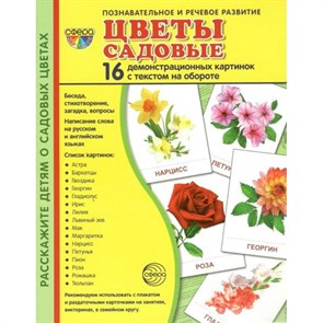 Цветы садовые. 16 демонстрационных картинок с текстом на обороте. 174 х 220. XKN1088124