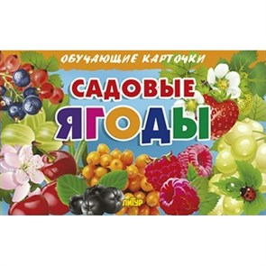 Садовые ягоды. XKN1766614