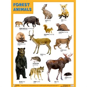 Английский язык. Лесные обитатели. FOREST ANIMALS. А2. XKN1236498