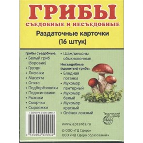 Грибы съедобные и несъедобные. 16 раздаточных карточек 63 х 87. XKN1088115