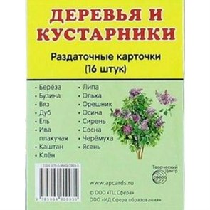 Деревья и кустарники. 16 раздаточных карточек 63 х 87. XKN1088116