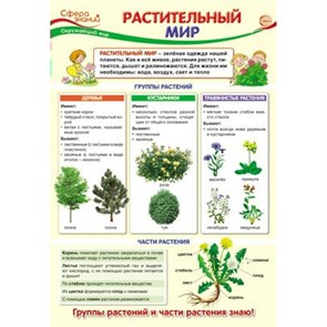 Окружающий мир. Растительный мир. А3. XKN1654595