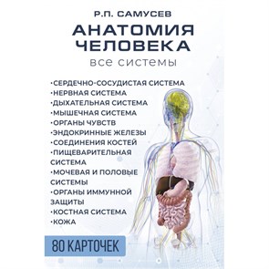 Анатомия человека. 80 карточек. Все системы. Самусев Р.П.