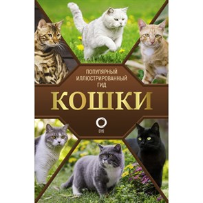 Кошки. Непомнящий Н.Н.