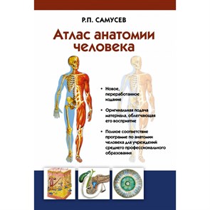 Атлас анатомии человека. Для студентов учреждений среднего профессионального образов. Самусев Р.П. XKN1039387