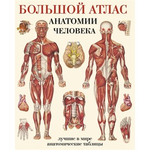 Большой атлас анатомии человека. Мягкая обложка. Е. Махиянова XKN1076911